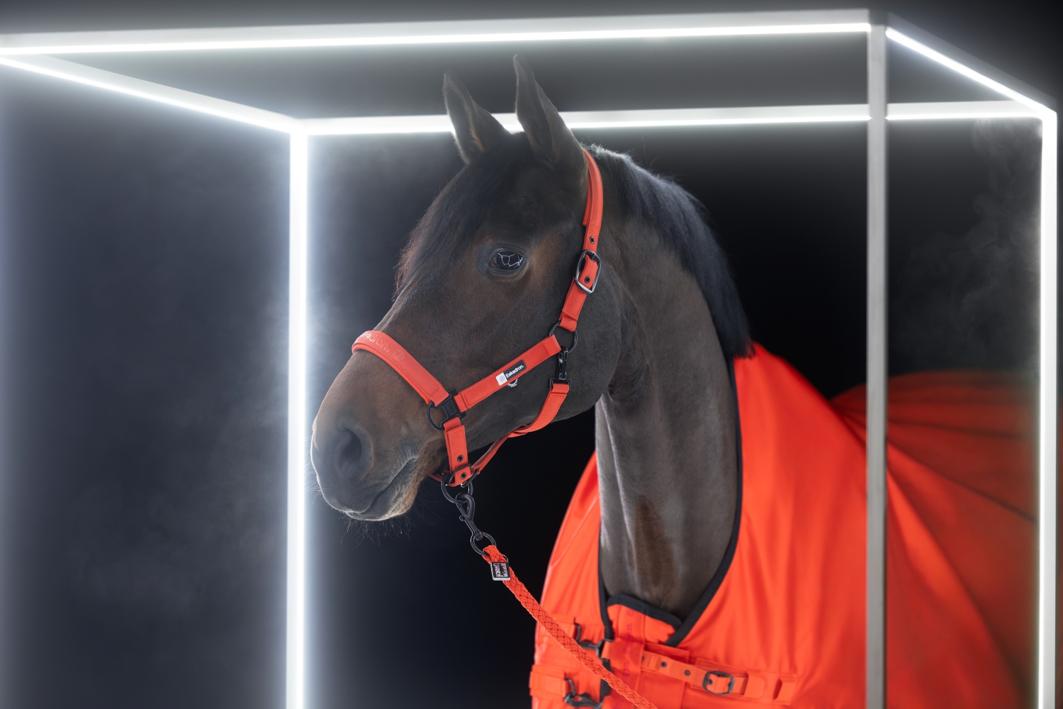 Eq Jesienne kolekcje jeździeckie 2025 (2)